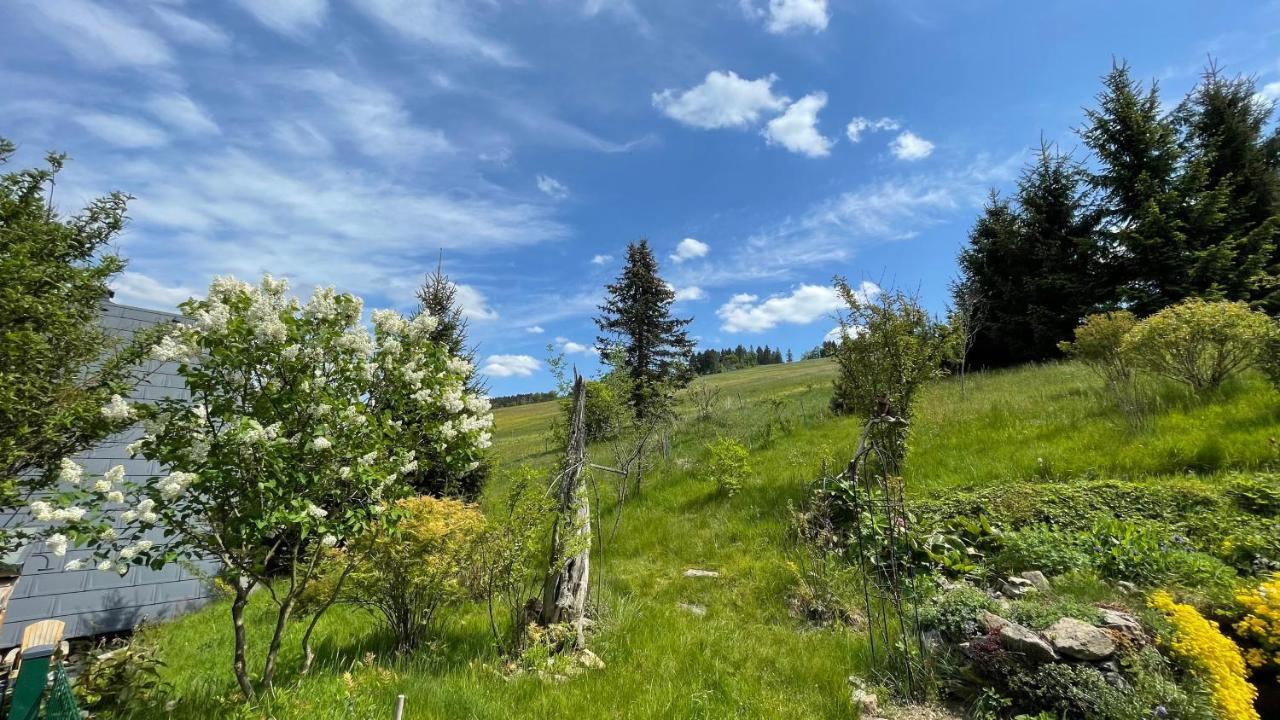 Fluegels Rebi-Baude Villa Rechenberg-Bienenmühle Eksteriør billede