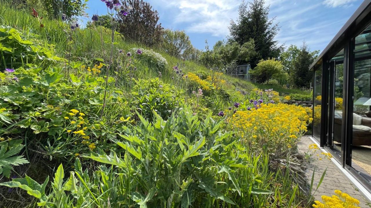 Fluegels Rebi-Baude Villa Rechenberg-Bienenmühle Eksteriør billede