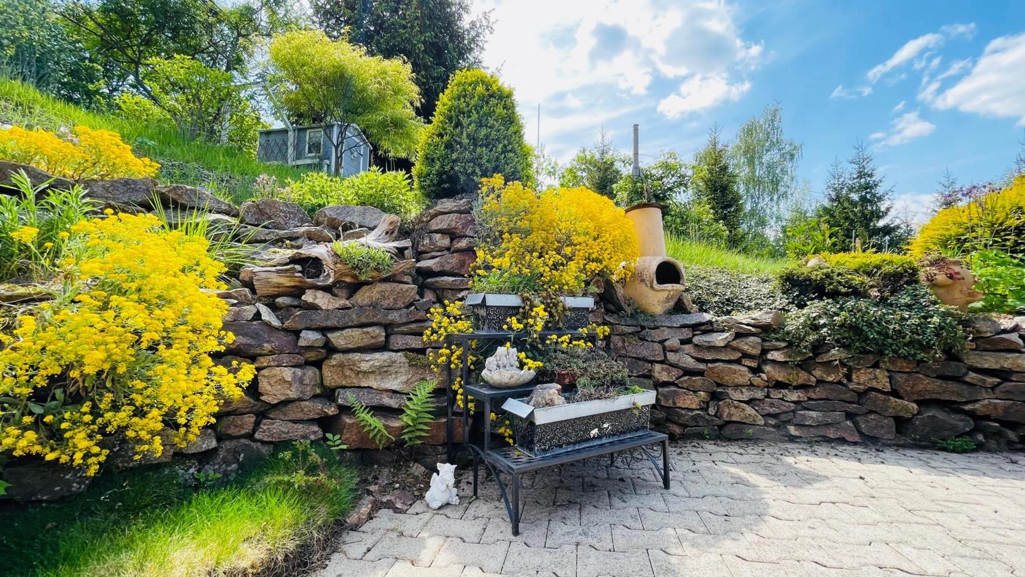Fluegels Rebi-Baude Villa Rechenberg-Bienenmühle Eksteriør billede