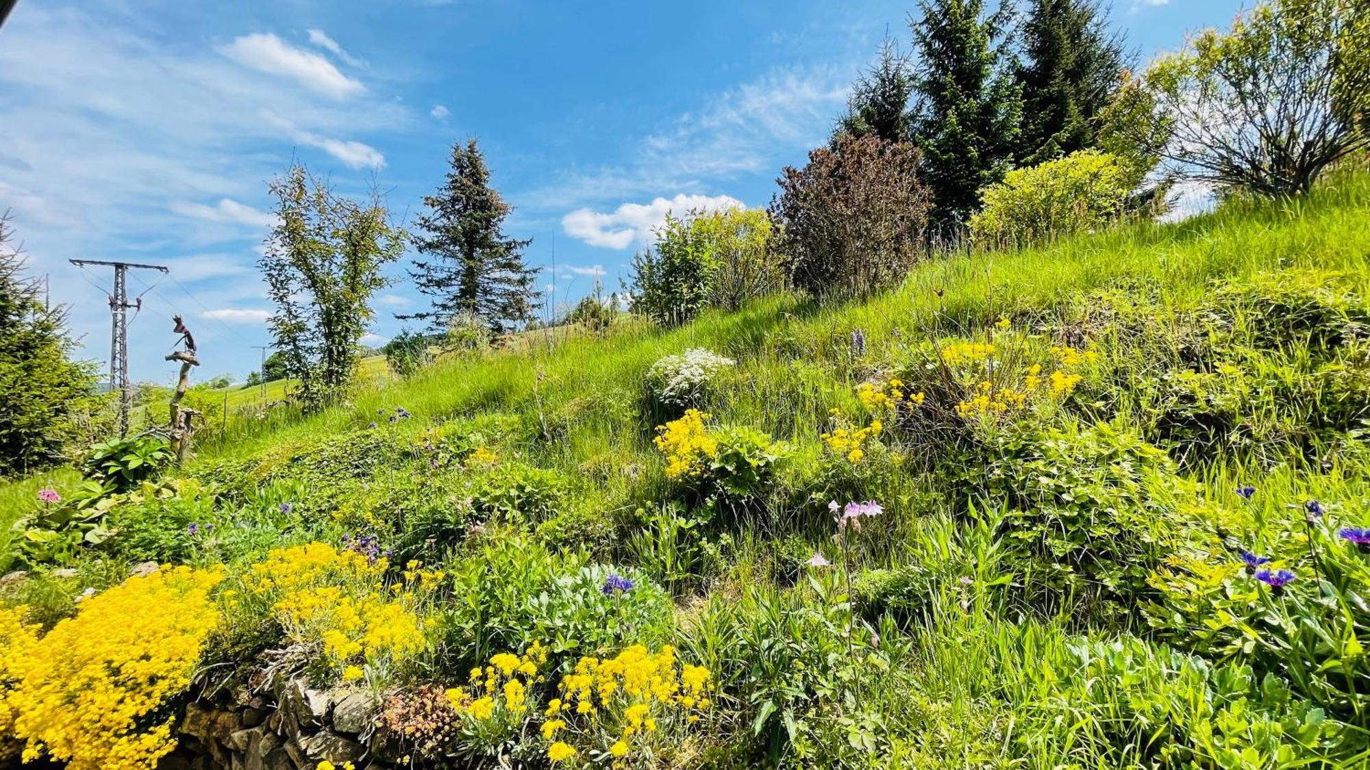 Fluegels Rebi-Baude Villa Rechenberg-Bienenmühle Eksteriør billede