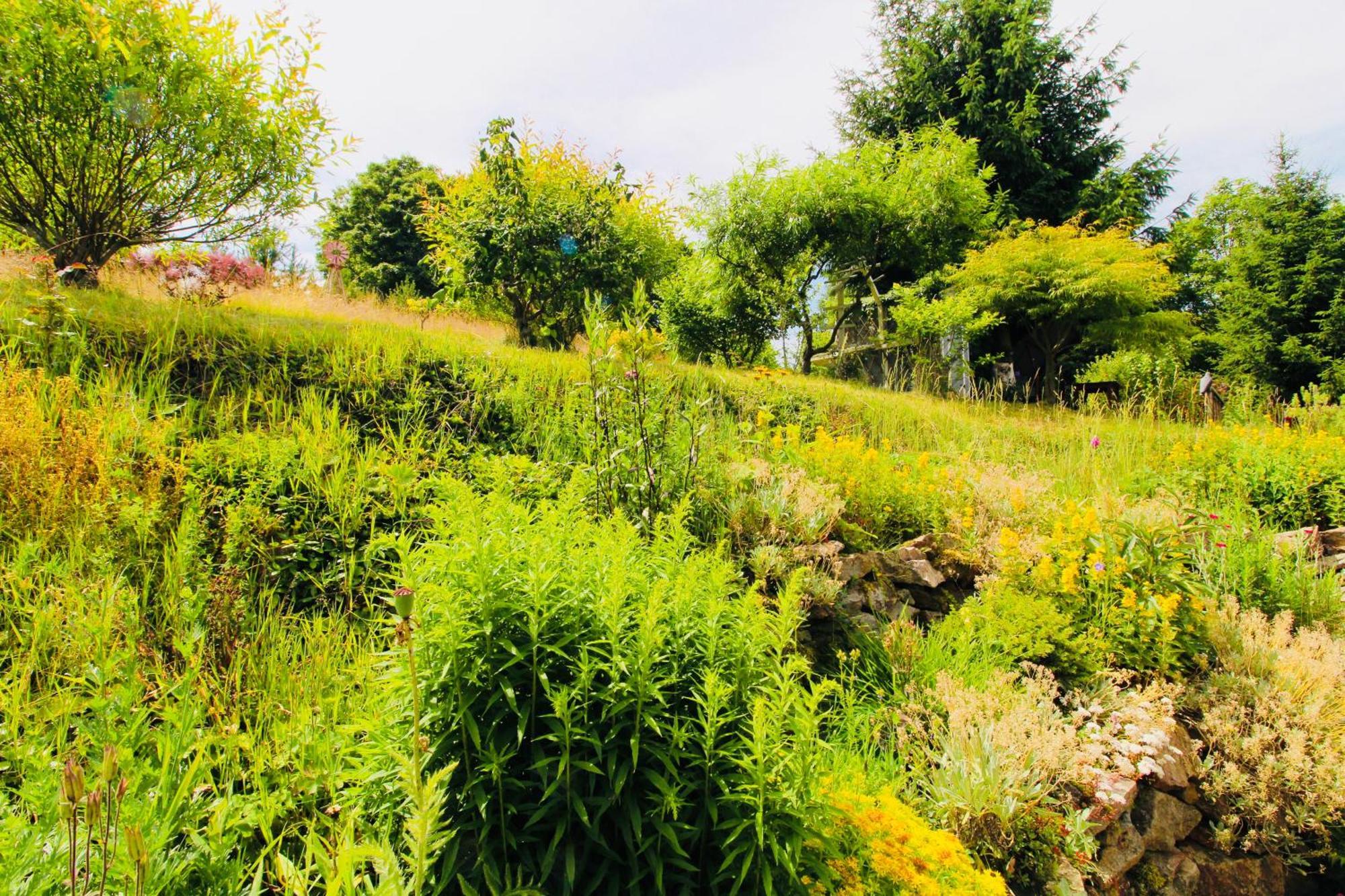 Fluegels Rebi-Baude Villa Rechenberg-Bienenmühle Eksteriør billede